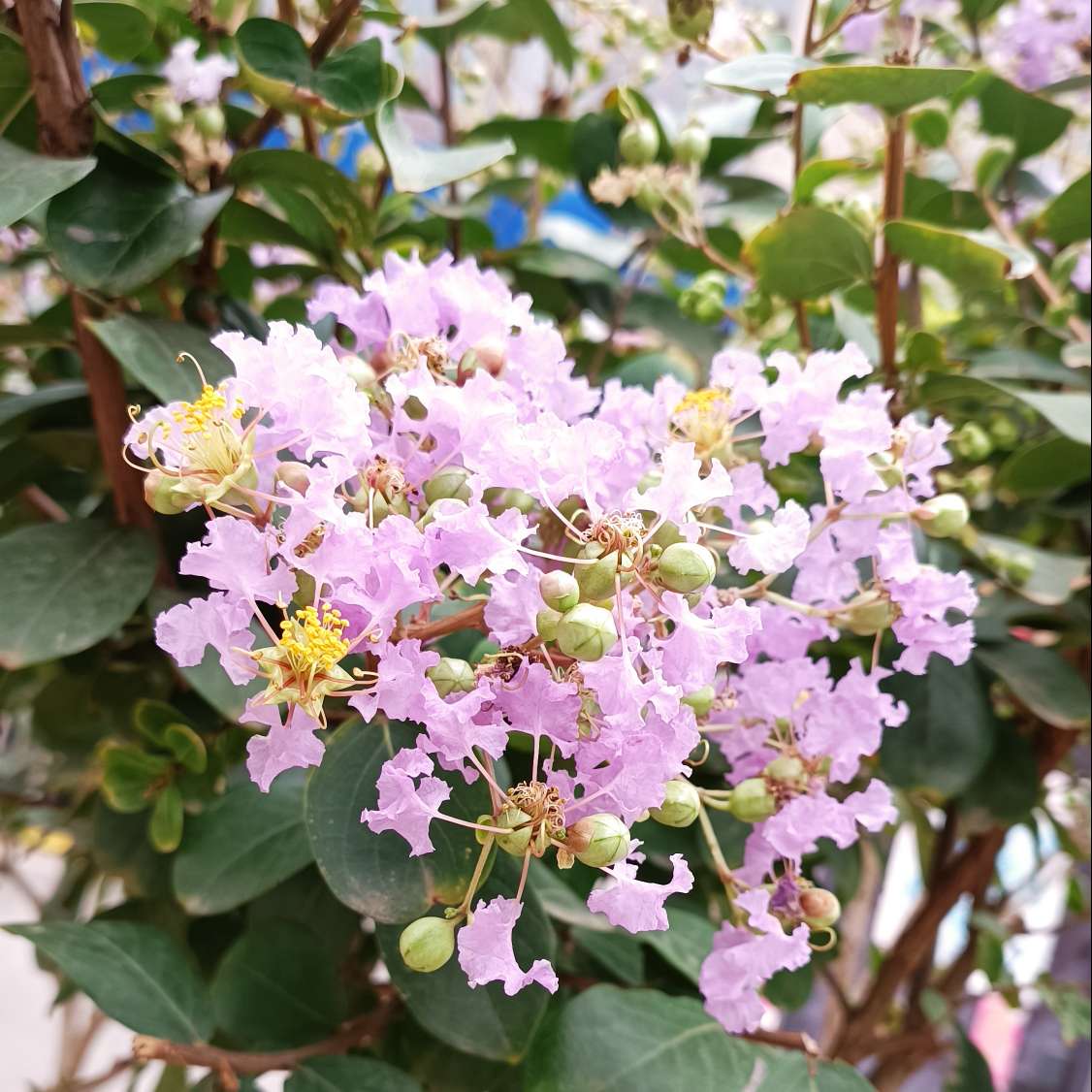 爆款书单文案精选