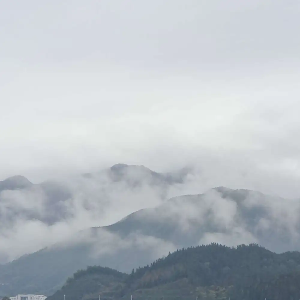 人间清醒