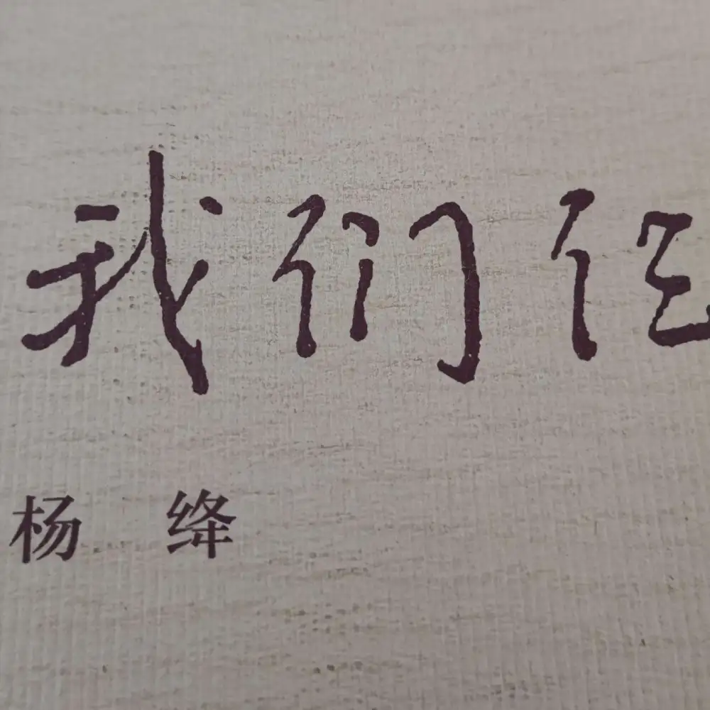 《我们仨》