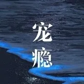 宠瘾