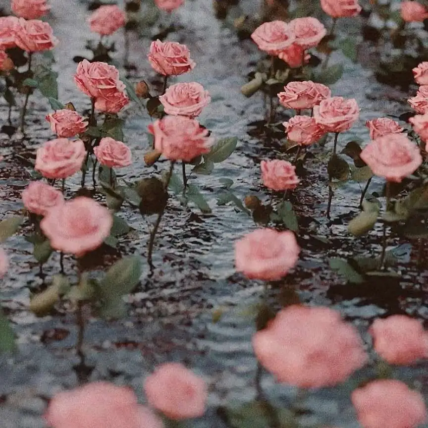 922