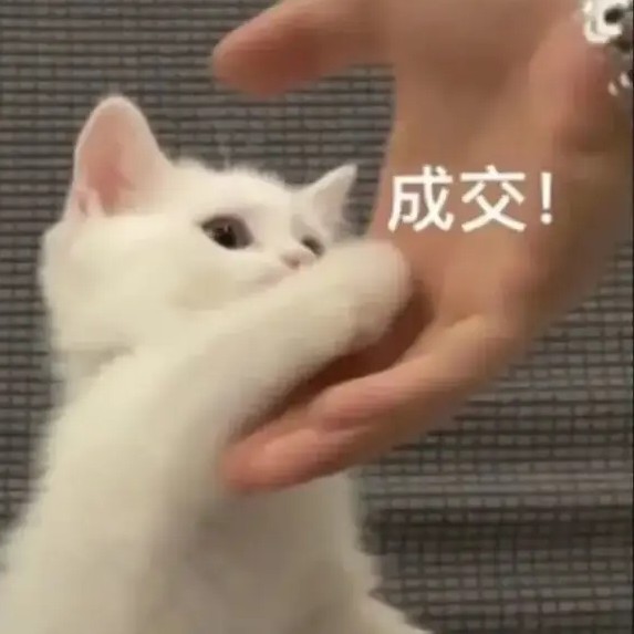 平常心‖就好，生活中的大喜大悲都只是暂时的。