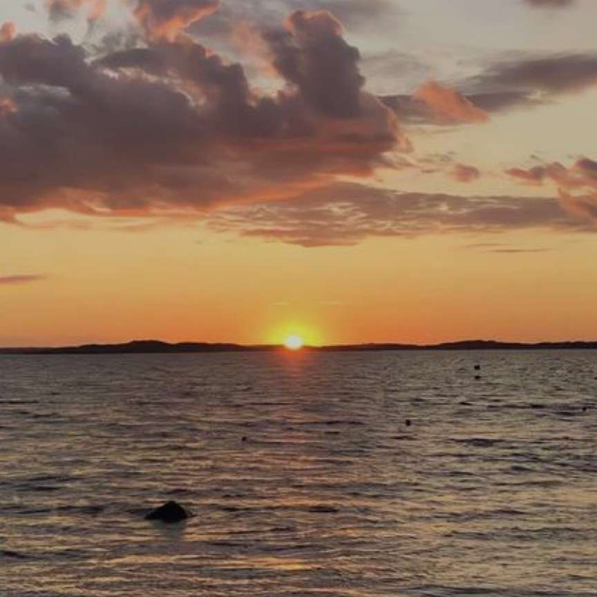 语文课本中最惊艳你的句子