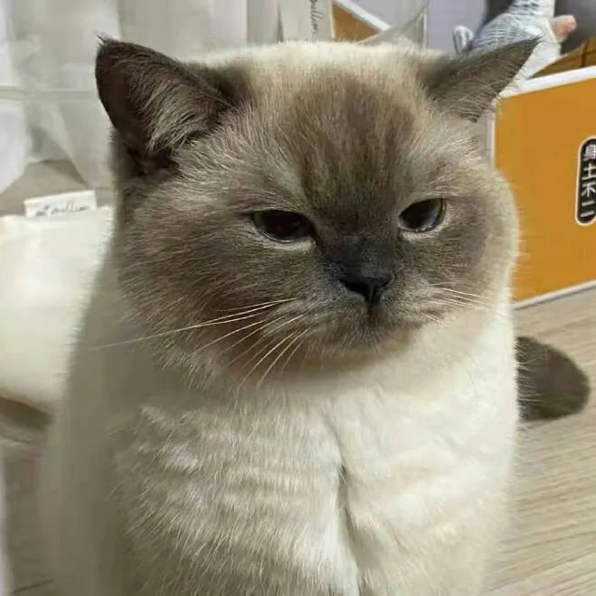 我觉得这个很好