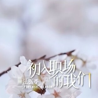 初入职场的我们