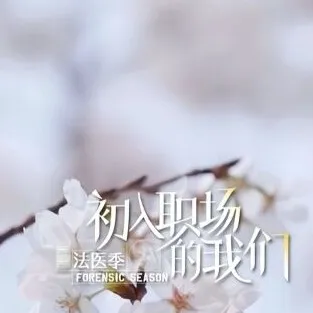 初入职场的我们