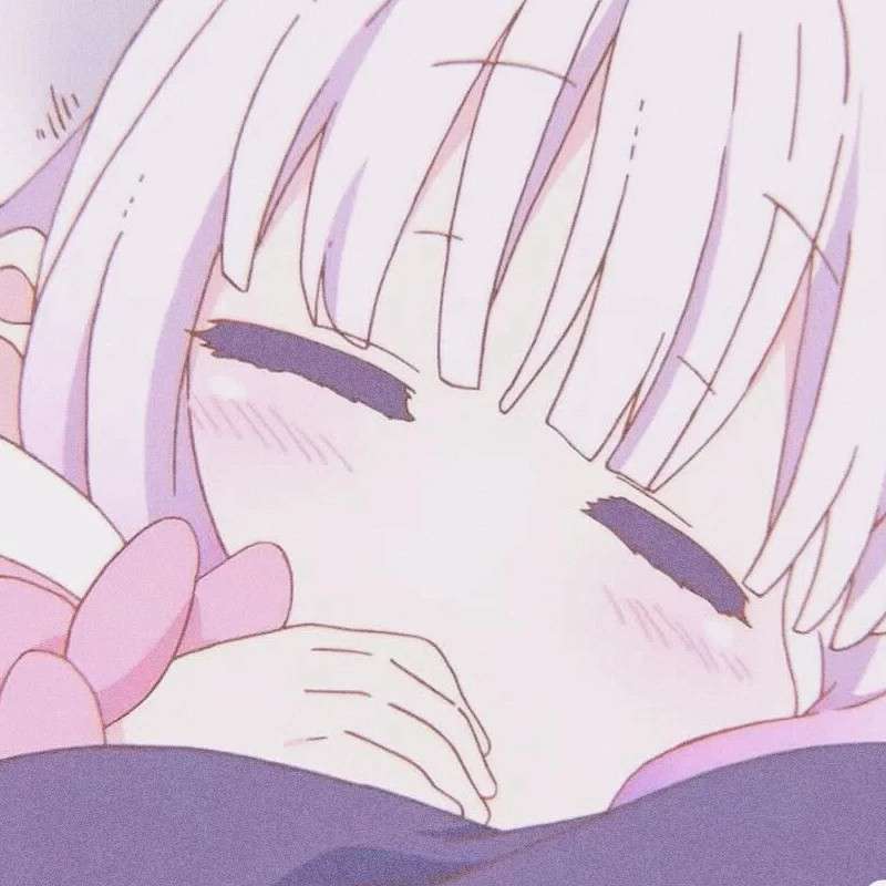 赴山看日落.的专辑