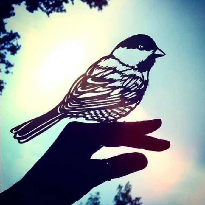 李惟微的收藏夹