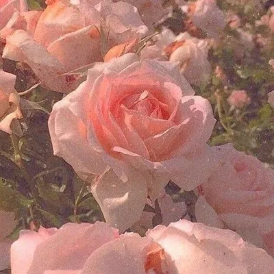 渝