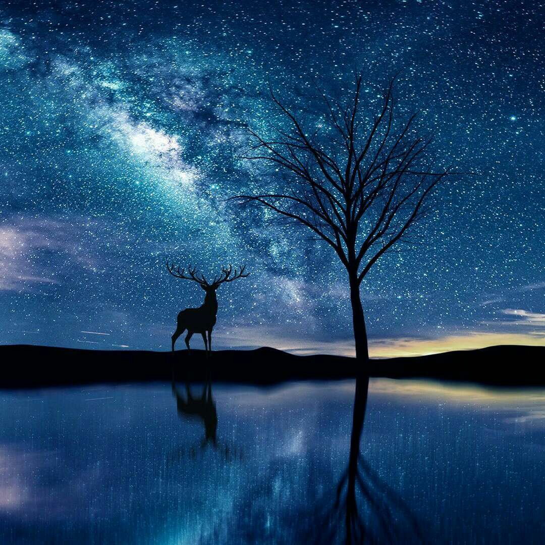 前女友黑化日常