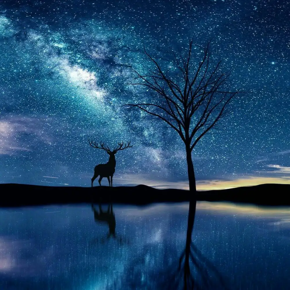 前女友黑化日常