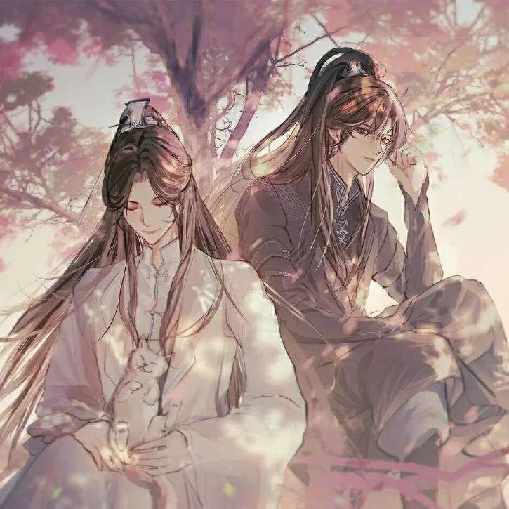 二哈和他的白猫师尊