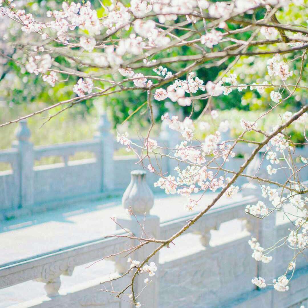 悦悦迷妹♡Fairy宇的专辑