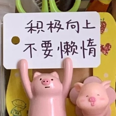 加油！天天努力！