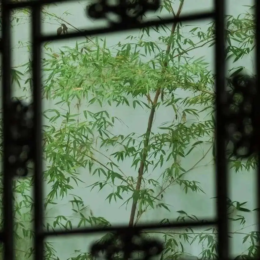 喜欢