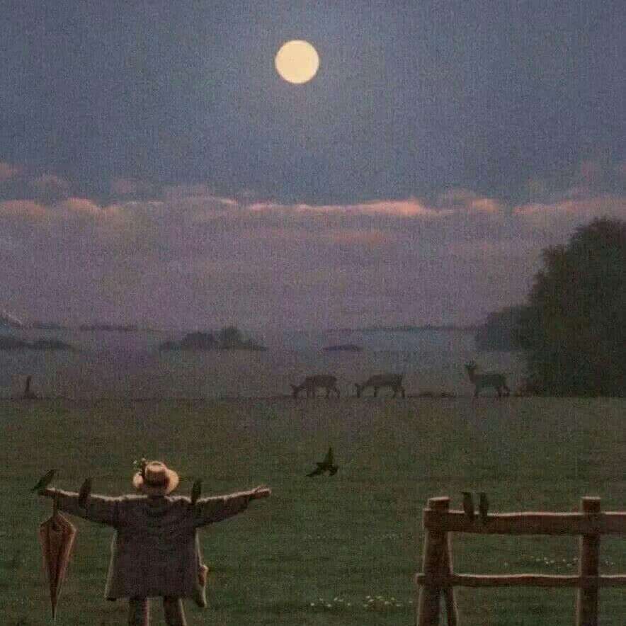 希望日子清净，抬头皆是温柔。