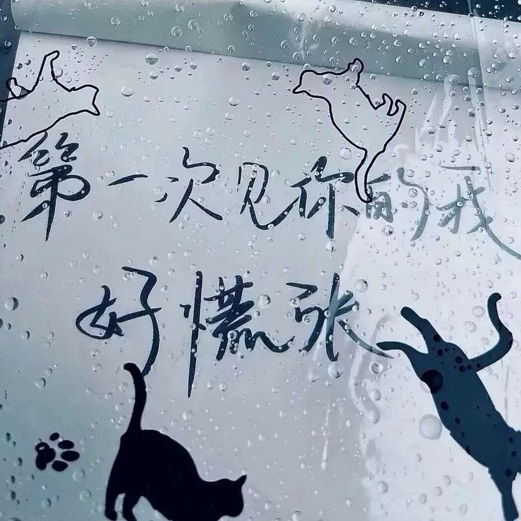 专辑❤️