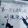 专辑❤️