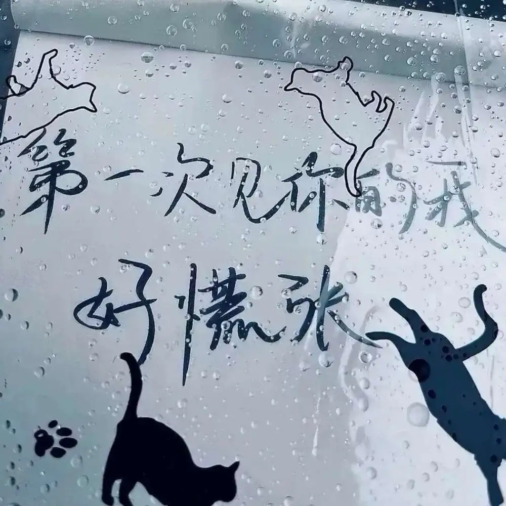 专辑❤️