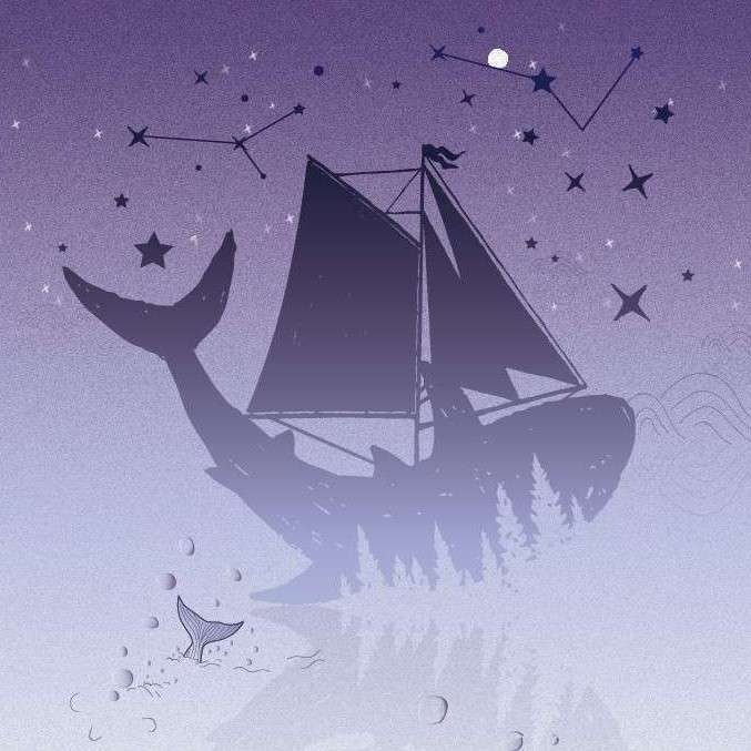 桉慕楠原创语录