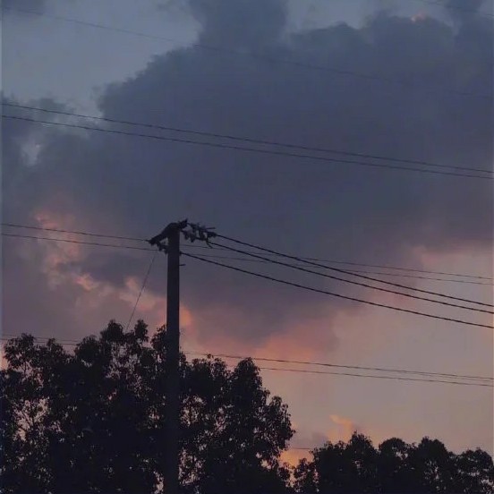 ᝰꫛꪮꪮꫜ 🌙 .