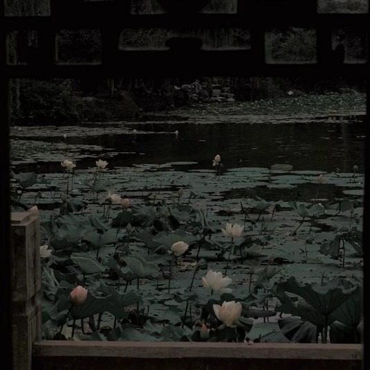 花开花落终有时