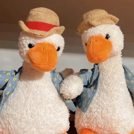 Laity.  (俗人）的专辑