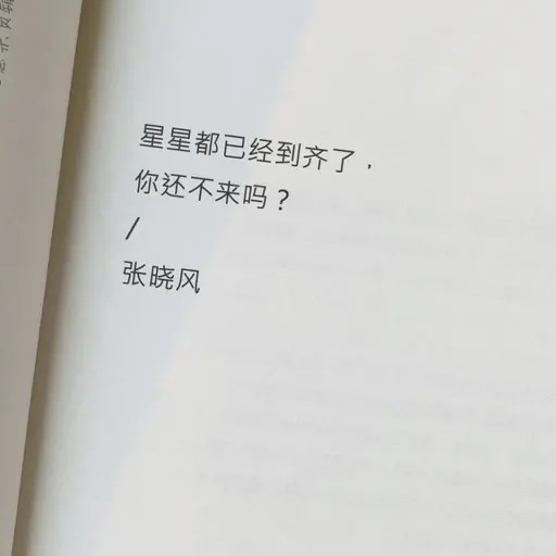 平平无奇的专辑