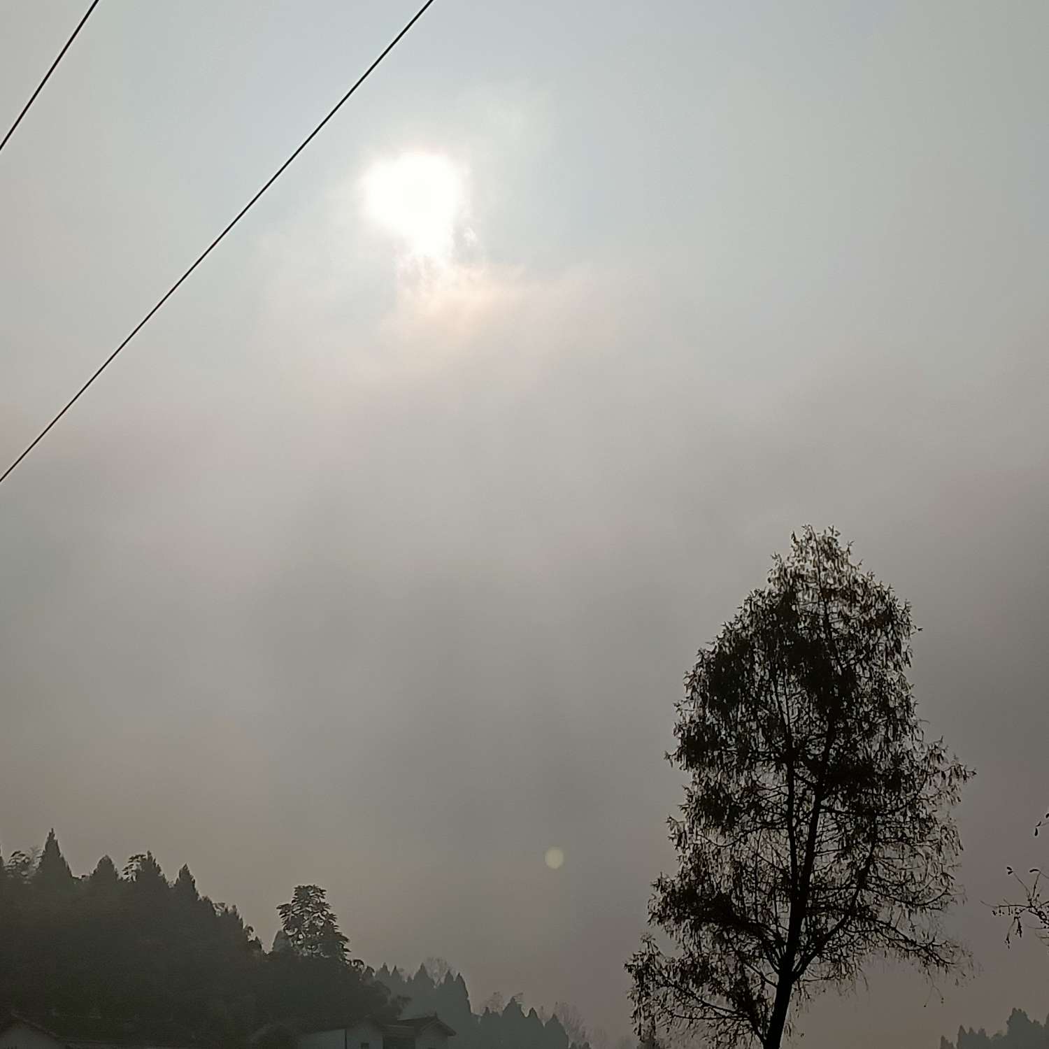 藏进云里的专辑