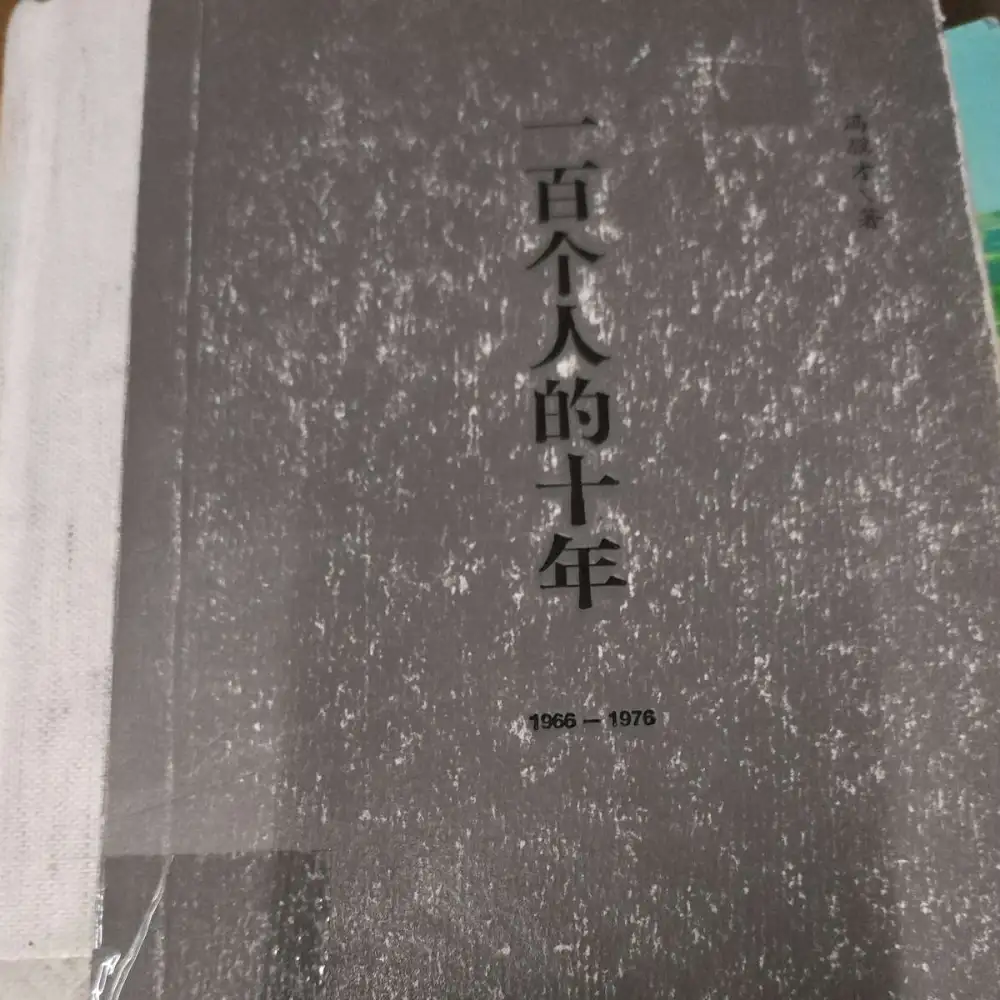 一百个人的十年