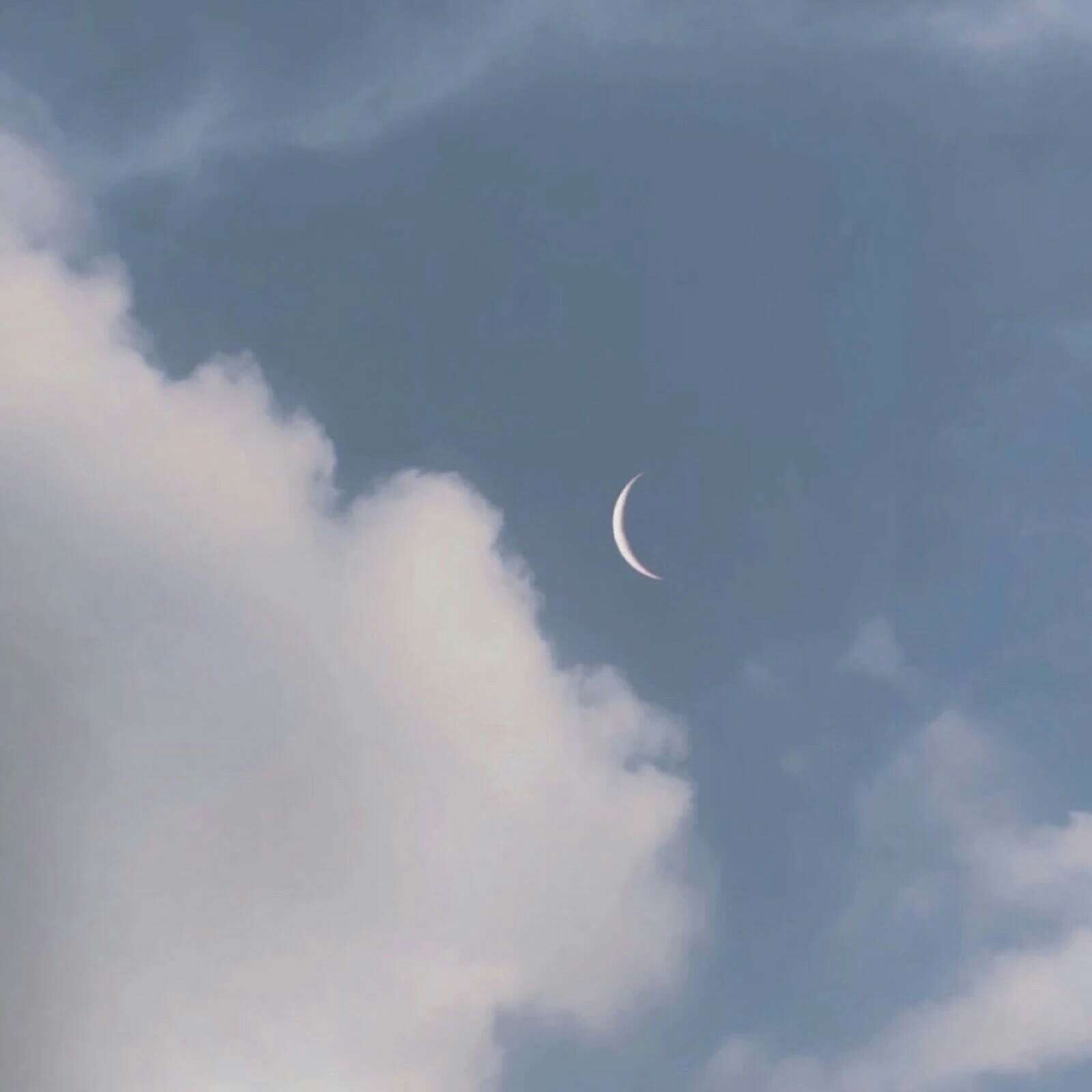 无敌巨级仙气造景⁽˙⁸˙⁾ʹ˜˜