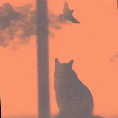 我是猫🐈