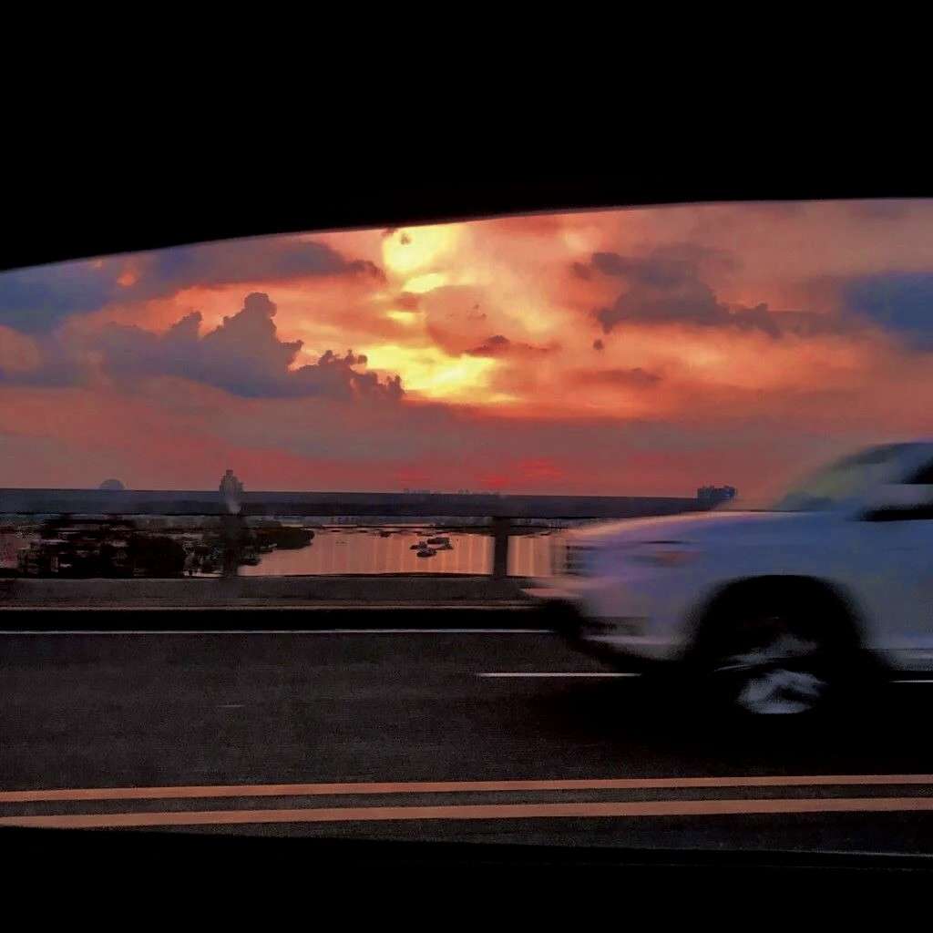 ᝰ·金色的玫瑰园·ᝰ