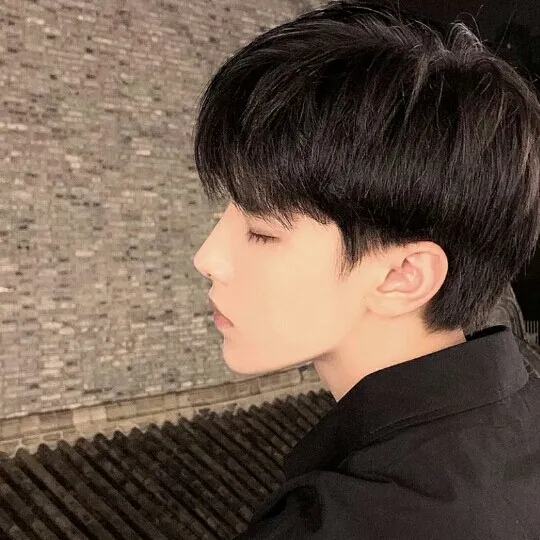 木槿昔年