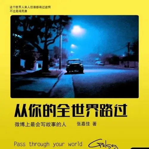 从你的全世界路过