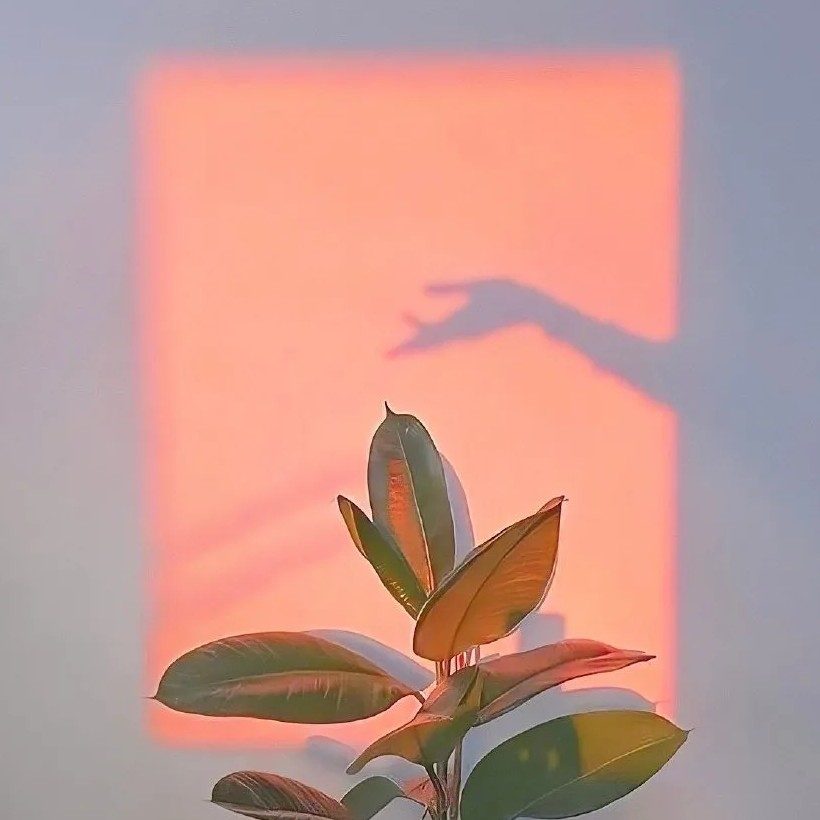 ✨六一儿童节文案✨