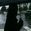 稀的专辑