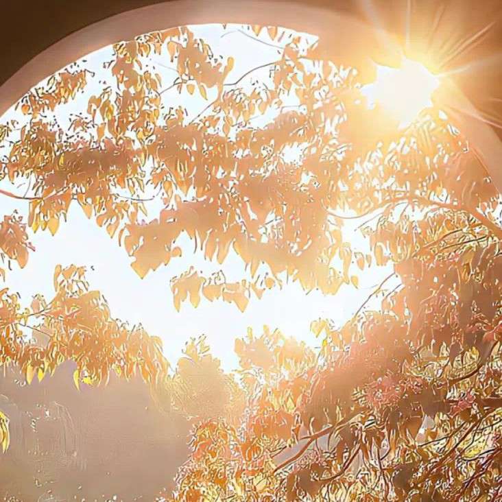 张大白胡的专辑