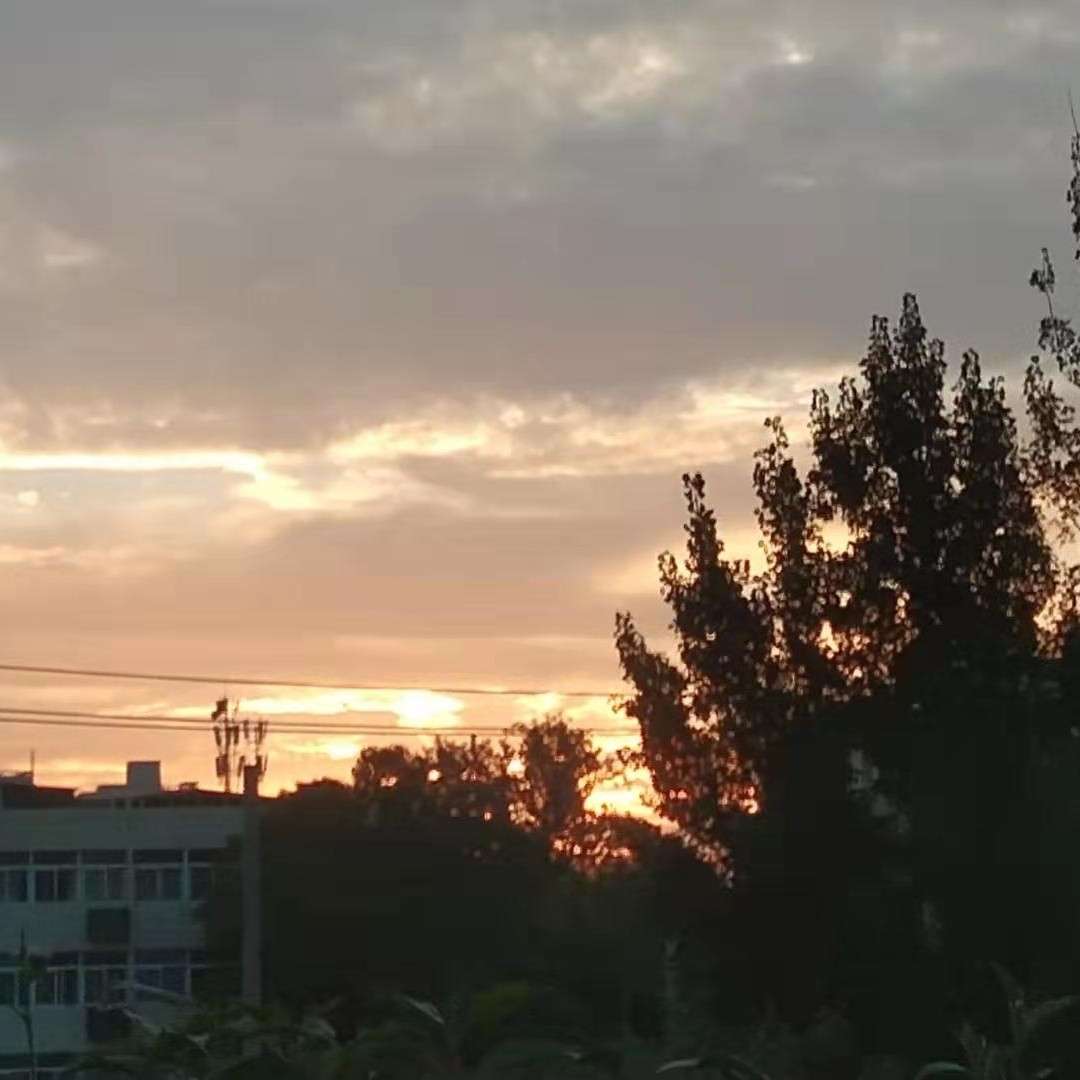 小说中惊艳到你的句子