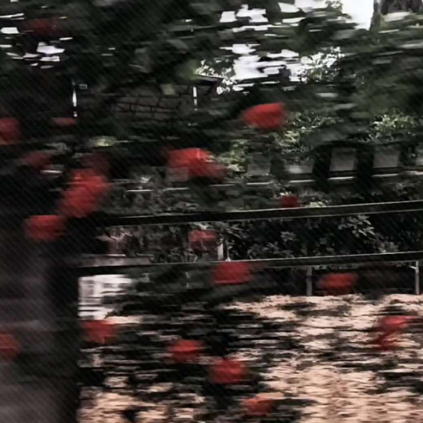 [耽美小说]/“世界给予我山花烂漫”