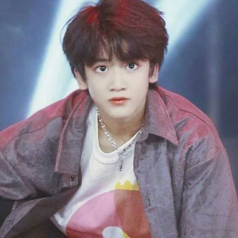 邓佳鑫追星专辑