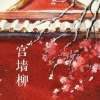 宫墙柳