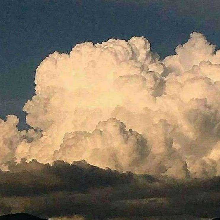 落月坠入星野的专辑