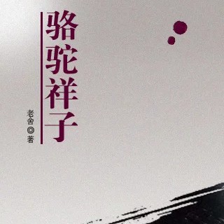 《骆驼祥子》金句