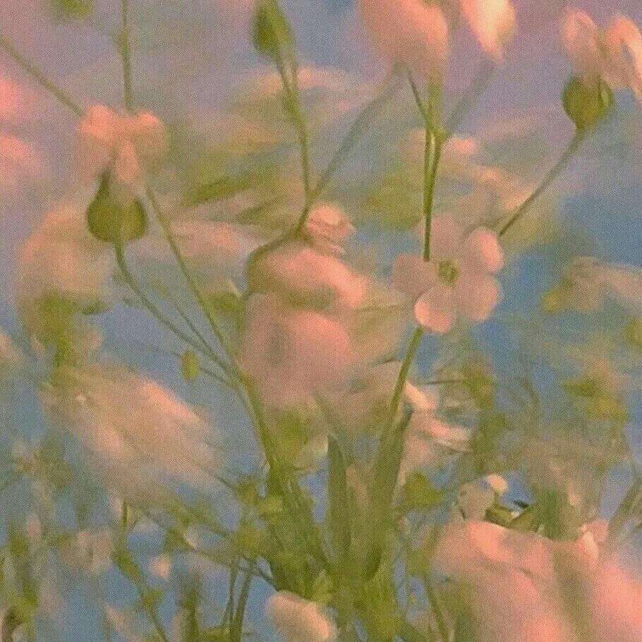 ( • ̀ω•́ )۶✧🧧的专辑