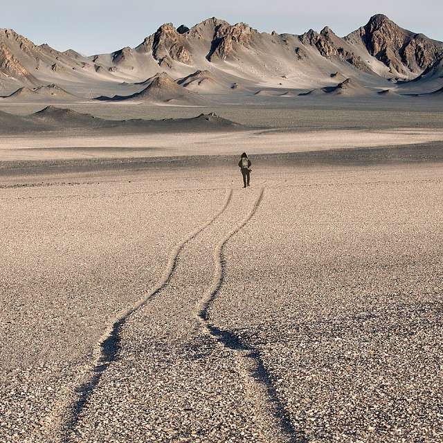 活得恣意而精彩