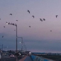 “让你舍不得删的句子”