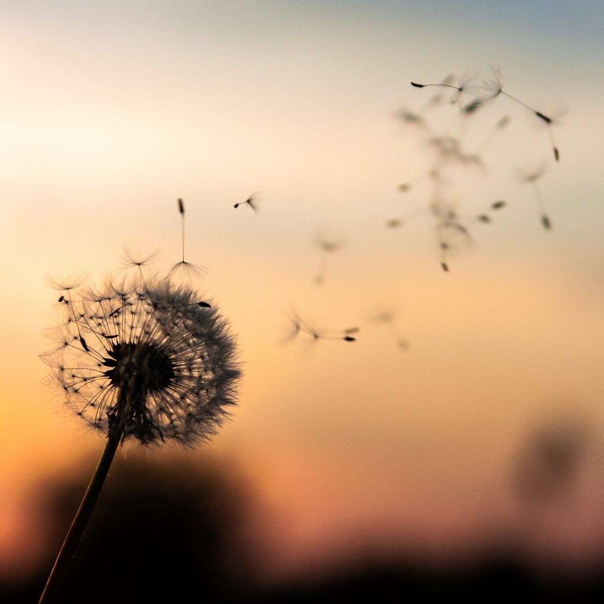 然而，然而……