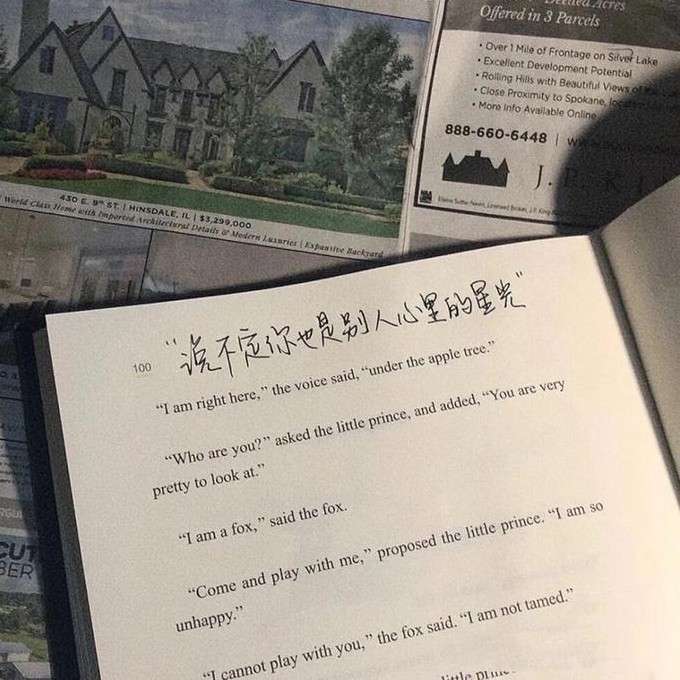 抒情的诗词文案