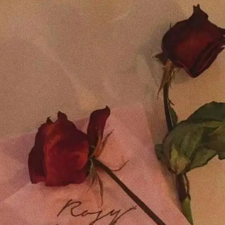 一厢情愿的感情